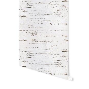 32 sq. ft. - Wide BIRCH Peel and Stick Wallpaper By Kavka Designs